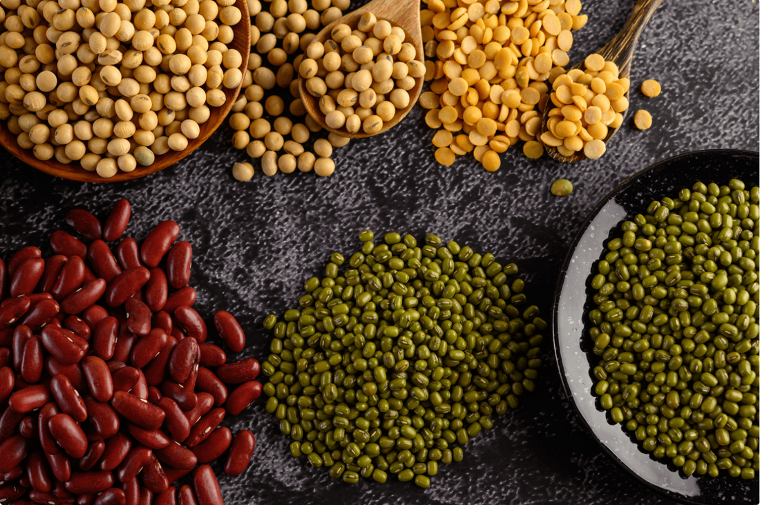 Four Brothers And A Bullet: Four Most Common Types Of Pulses And Their Nutritional Facts