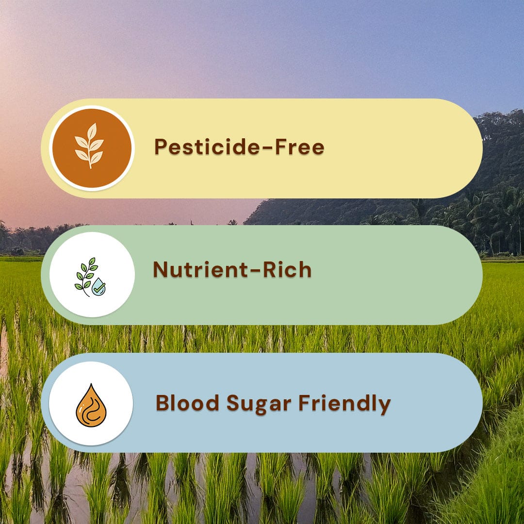 Sona Masuri Unpolished Brown Rice Pesticide-Free