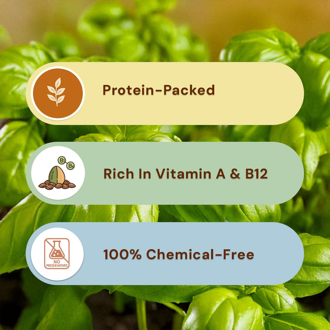 Basil Seeds Pesticide-Free 250g