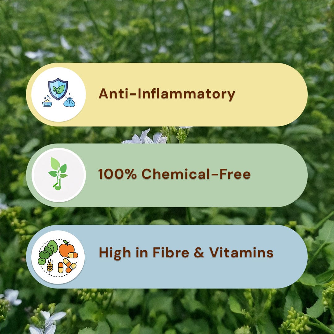 Carom Seeds/ Ajwain Pesticide-Free