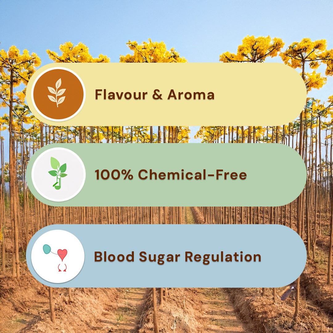 Cassia Sticks/ Dalchini Pesticide-Free 50g