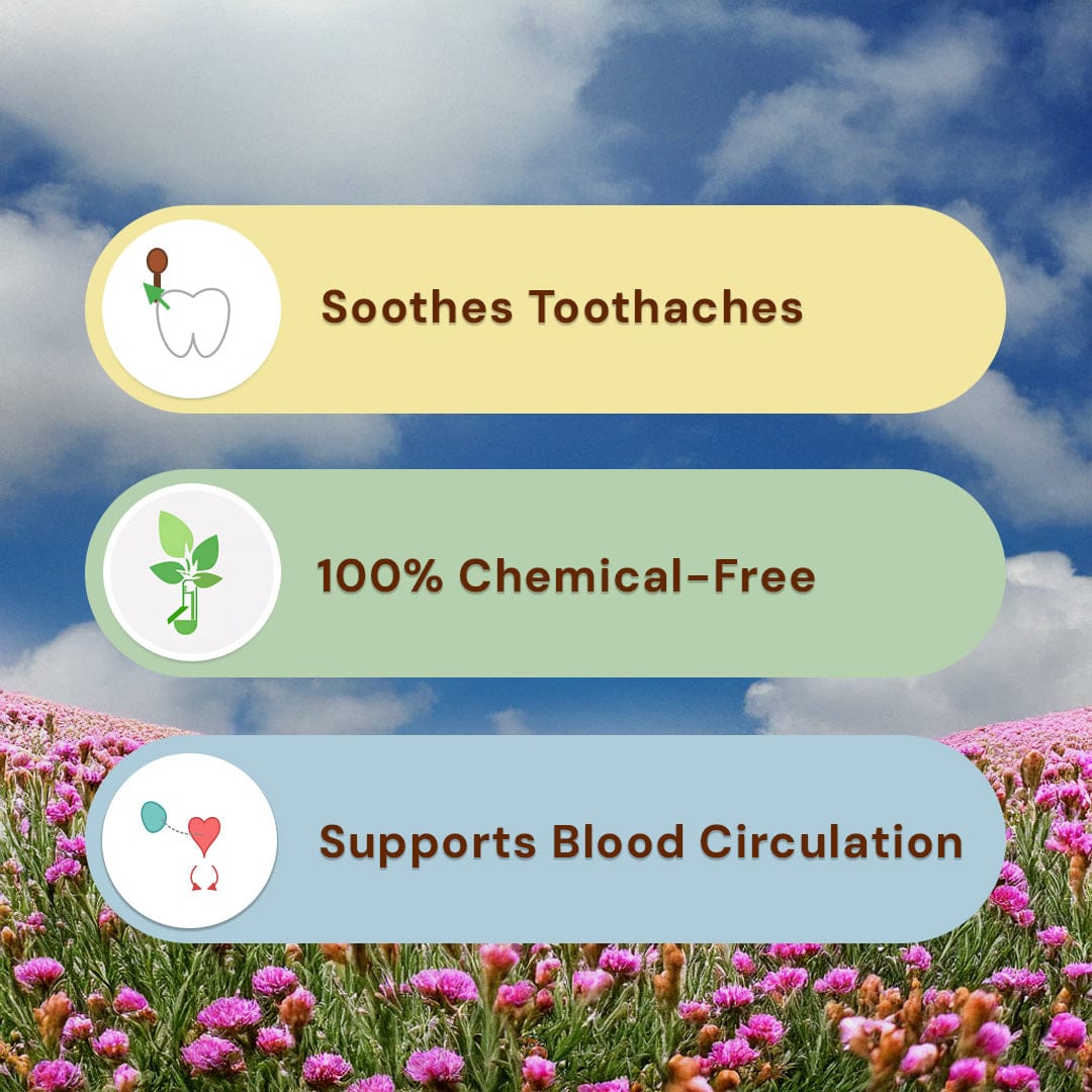 Cloves Whole / Laung Pesticide-Free