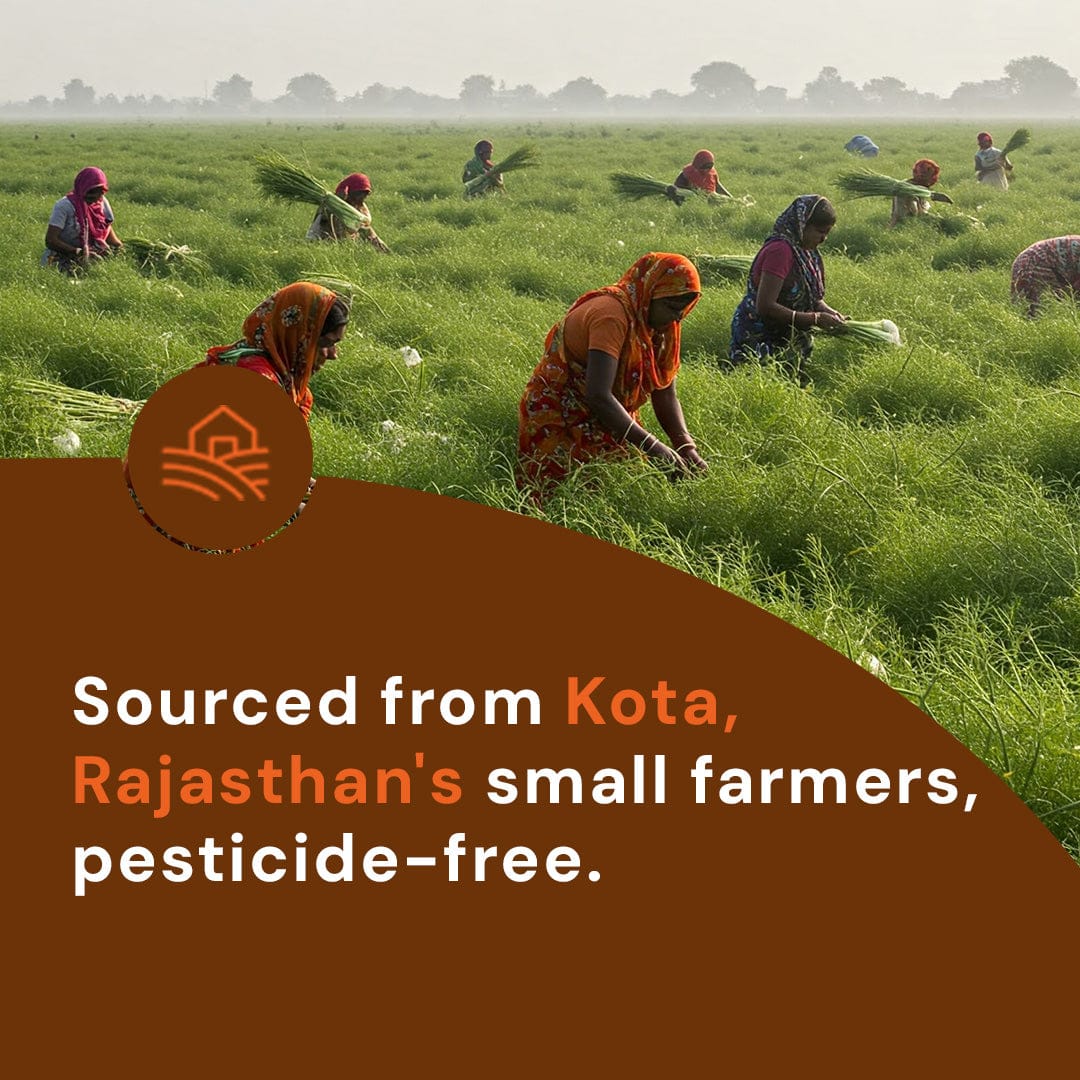 Fennel (Seeds)/ Saunf Pesticide-Free