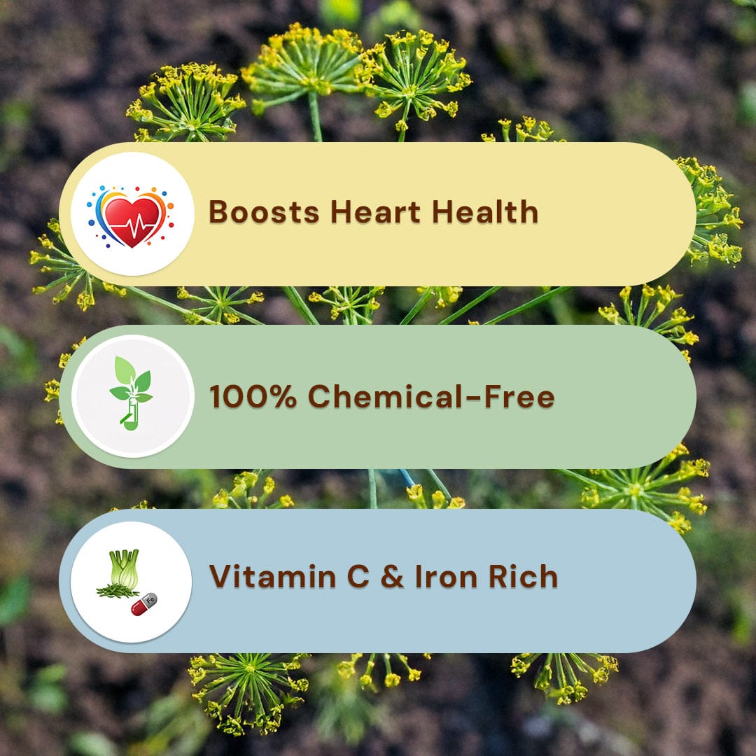 Fennel (Seeds)/ Saunf Pesticide-Free