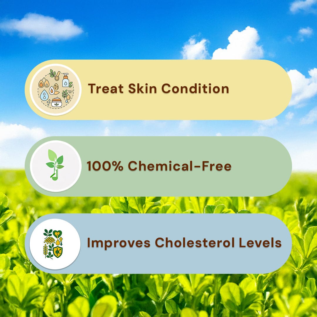 Fenugreek Seeds/ Methi Pesticide-Free 200g