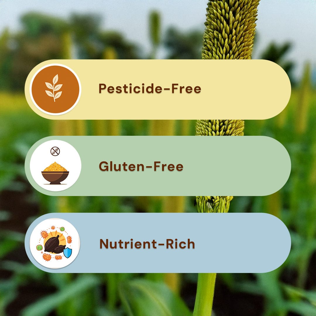 Jowar Atta Pesticide-Free 500g