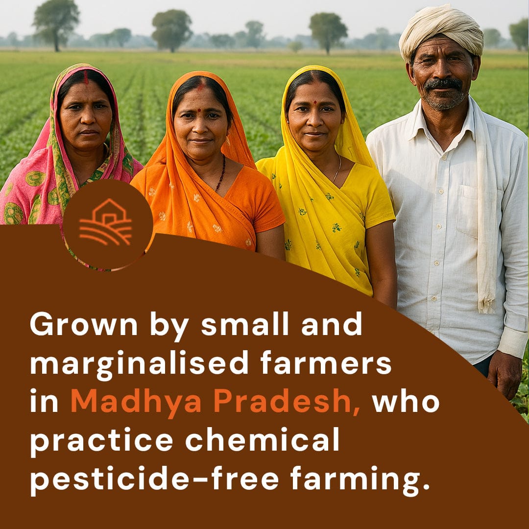 Masoor Dal Pesticide-Free