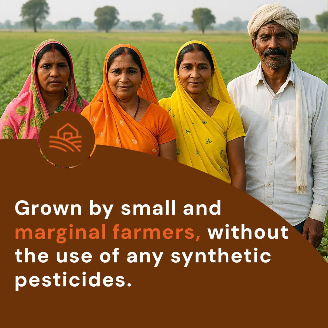 Raw Pumpkin Seeds Pesticide-Free 200g