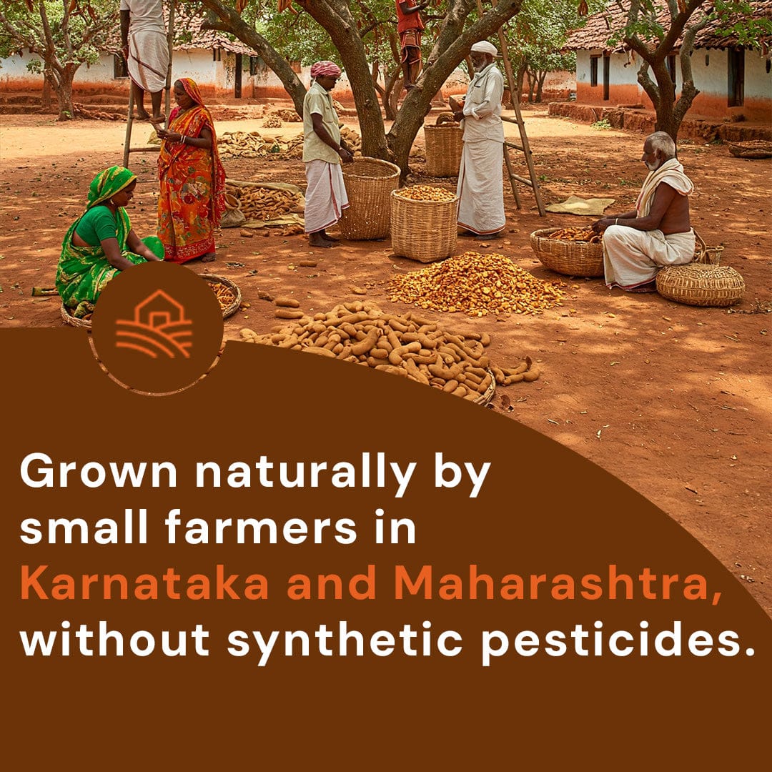 Tamarind/Imli Pesticide-Free