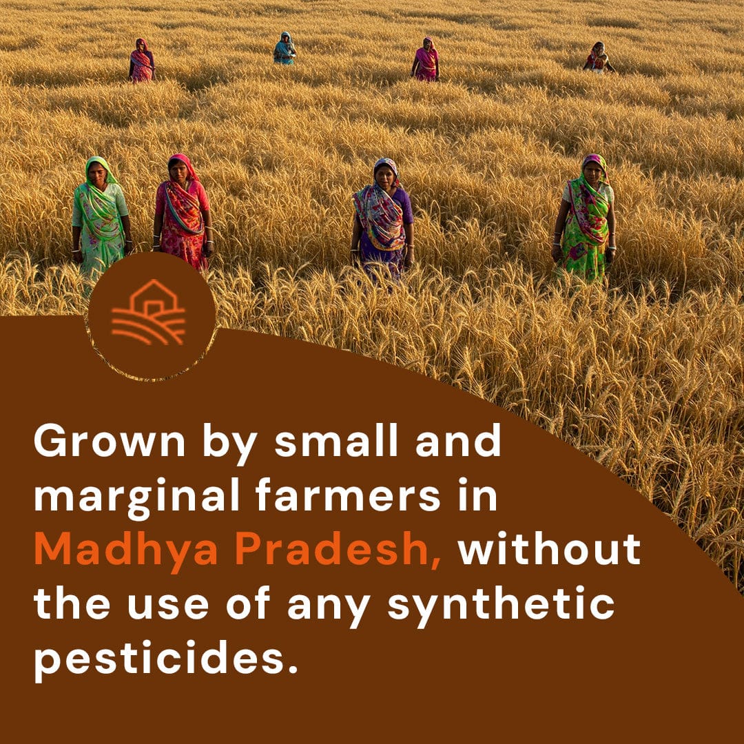 Wheat Daliya Pesticide-Free 500g