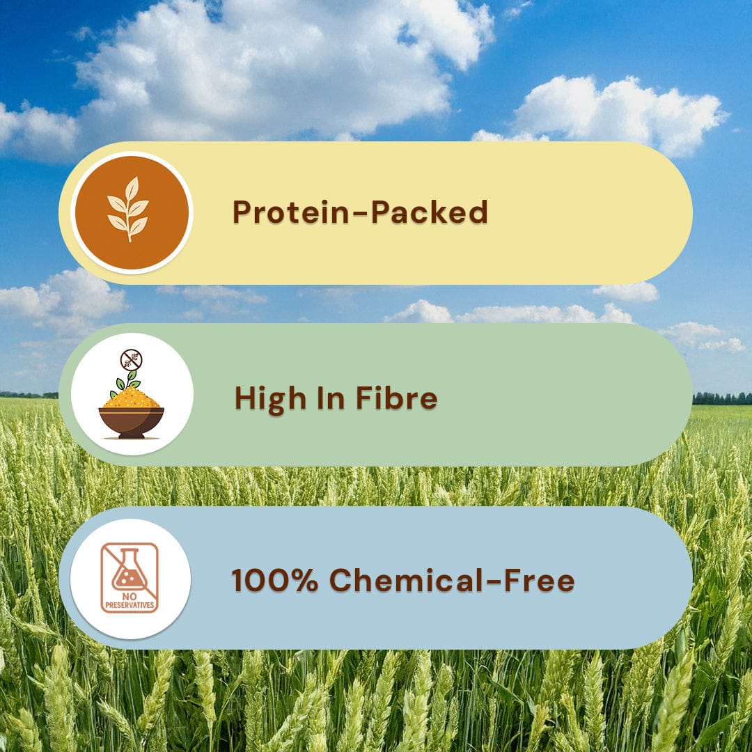 Wheat Daliya Pesticide-Free 500g