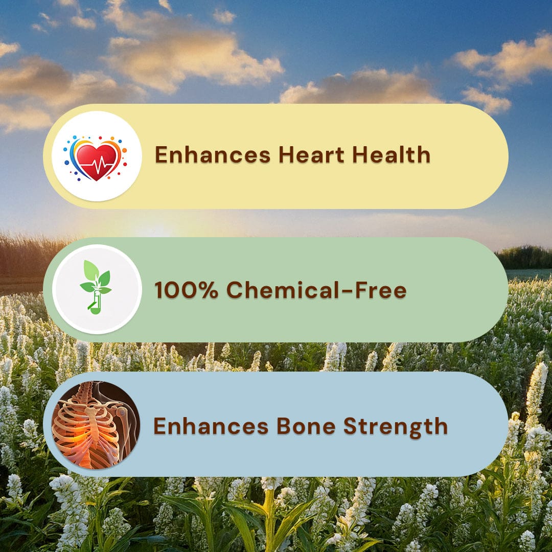 White Sesame/ Til Pesticide-Free