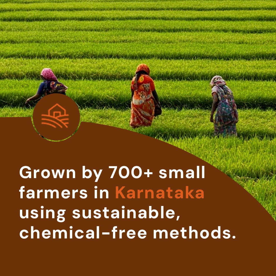 Sona Masuri Raw Rice (Aged 12 Months) Pesticide-Free