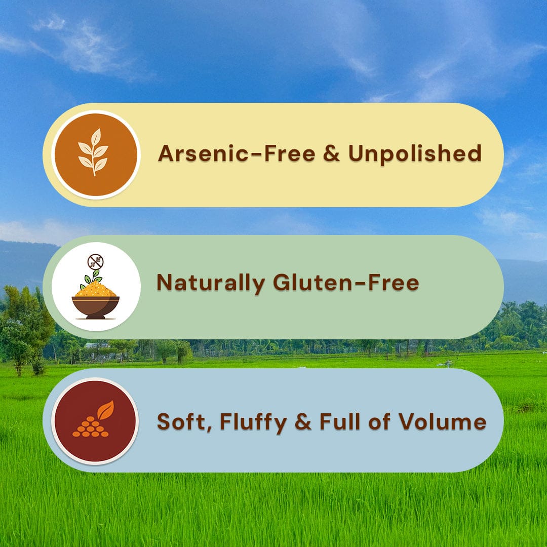 Sona Masuri Raw Rice (Aged 12 Months) Pesticide-Free