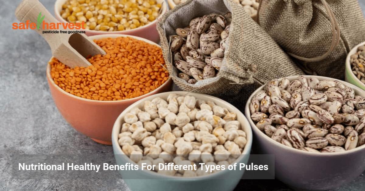 Nutritional Healthy Benefits For Different Types of Pulses